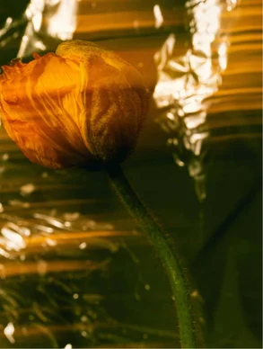 Protector Solar SPF30, con Color