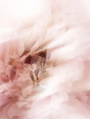 Barra Protectora Solar SPF50, con Color