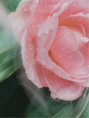 Protector Solar Mineral SPF30 para Rostro y Cuerpo, sin Color