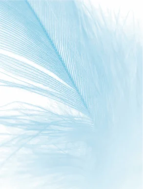 Crema Hidratante para Pieles Sensibles, sin Perfume