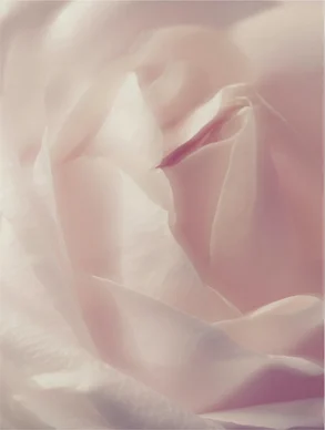 Protector Solar SPF50 en Barra, sin Color